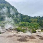 Private Tour Furnas: Furnas Lake Hike & Terra Nostra Park - Analyzing the Experience: Is It Worth It?