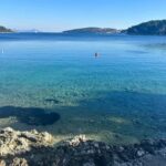 Private tour Gin, Honey and Wine, Discover Korcula - The Sum Up