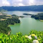 Private Tour Half Day Sete Cidades and pineapple production - An In-Depth Look at the Tour Experience