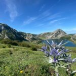 Private Tour Northern Spain 10 days - What Makes This Tour Stand Out?