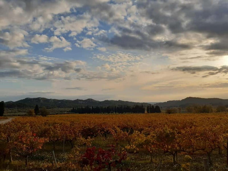 Private tour of the Alpilles, wine tastings, and local restaurant - What You May Want to Consider