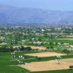 Private Tour, Olive Mill, Scotino Cave, Lasithi Plateau H/D - A Detailed Breakdown of the Tour Experience