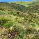 Private Tour Ribeira Grande: Salto do Cabrito Hike - A Detailed Look at the Salto do Cabrito Hike Tour