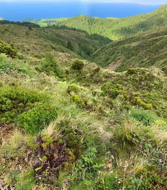 Private Tour Ribeira Grande: Salto do Cabrito Hike - A Detailed Look at the Salto do Cabrito Hike Tour