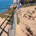 Private Tour Sintra and Cascais - Cabo da Roca: Europe’s Edge