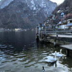 Private Tour to Hallstatt & Salzburg  Comfort and Elegance - Analyzing the Tour’s Value