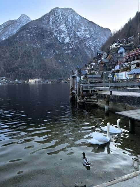 Private Tour to Hallstatt & Salzburg  Comfort and Elegance - Analyzing the Tour’s Value
