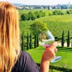 Private tour to Khor Virap Noravank wine tasting birds cave - What Makes This Tour Stand Out