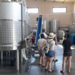 Private Tour to Silves Castle Whith Algarvian Wine Tasting - The Itinerary: A Day in Silves and Beyond