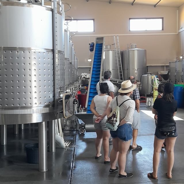 Private Tour to Silves Castle Whith Algarvian Wine Tasting - The Itinerary: A Day in Silves and Beyond