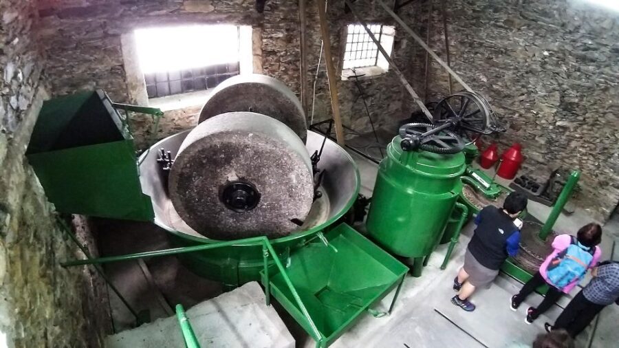 Private Tour to stunning Douro Valley and renowned wineries - Final Thoughts