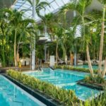 PRIVATE TOUR to Therme Bucuresti  Entrance Ticket included - Entry to Europe’s Largest Indoor Wellness Center