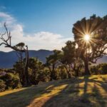 Private Tour VIP - An In-Depth Look at the Private Tour VIP on Madeira