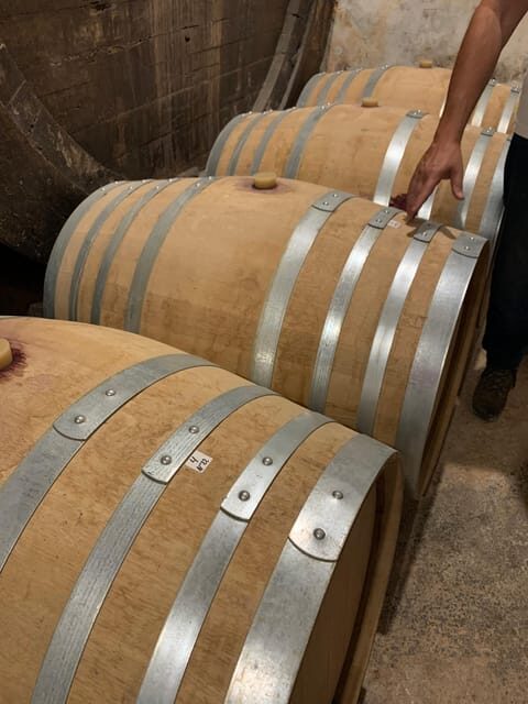 Private tour: Wine tasting, experience real Mallorca - The Sum Up