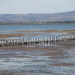 Private Tour: Wine Tasting Tour, Mud Baths, History & more - The Value and Overall Impression