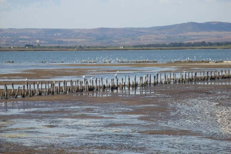 Private Tour: Wine Tasting Tour, Mud Baths, History & more - The Value and Overall Impression