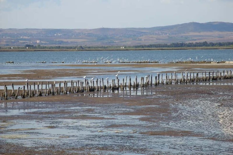 Private Tour: Wine Tasting Tour, Mud Baths, History & more - The Value and Overall Impression