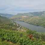 Private tours and transport amazing for you at DOURO Valley - What’s Included and What to Keep in Mind