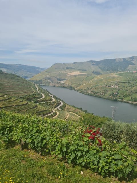 Private tours and transport amazing for you at DOURO Valley - What’s Included and What to Keep in Mind