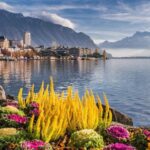 Private trip: Interlaken> Aigle Castle, Vineyards & Montreux - A Closer Look at the Itinerary