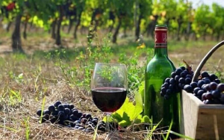 Private Trip: Tatev Ropeway-Shaki Waterfall-Wine Degustation - The Practical Aspects: What You Need to Know