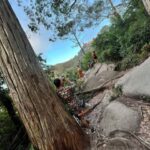 Private Tuk Tuk Tour in Sintra and Coast - Who Is This Tour Best For?