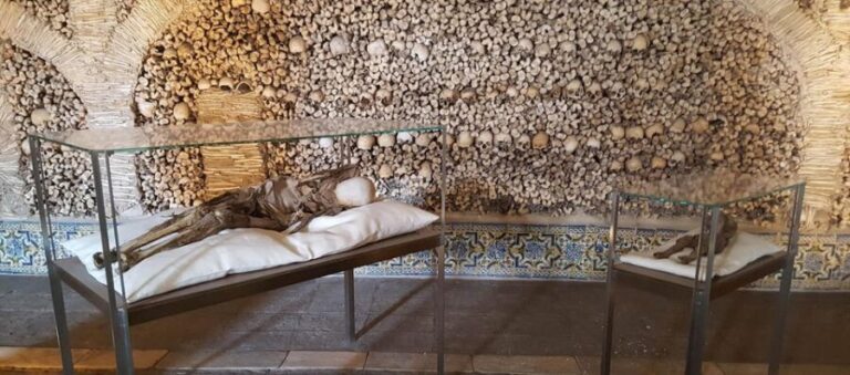 Private Unforgetable Full Day Tour in Évora - Authentic Insights & Traveler Feedback