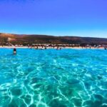 Private Van Tour to Falassarna Beach from Chania - Who Will Love This Experience?