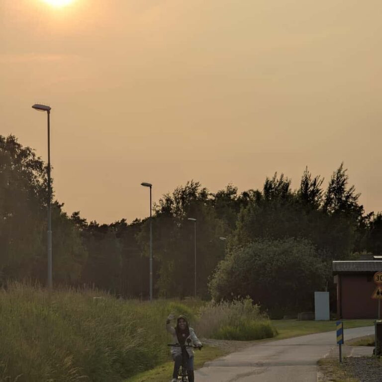 Private Walking Tour Gothenburg: Old Town & Åsa Coastline - Exploring the Itinerary in Detail