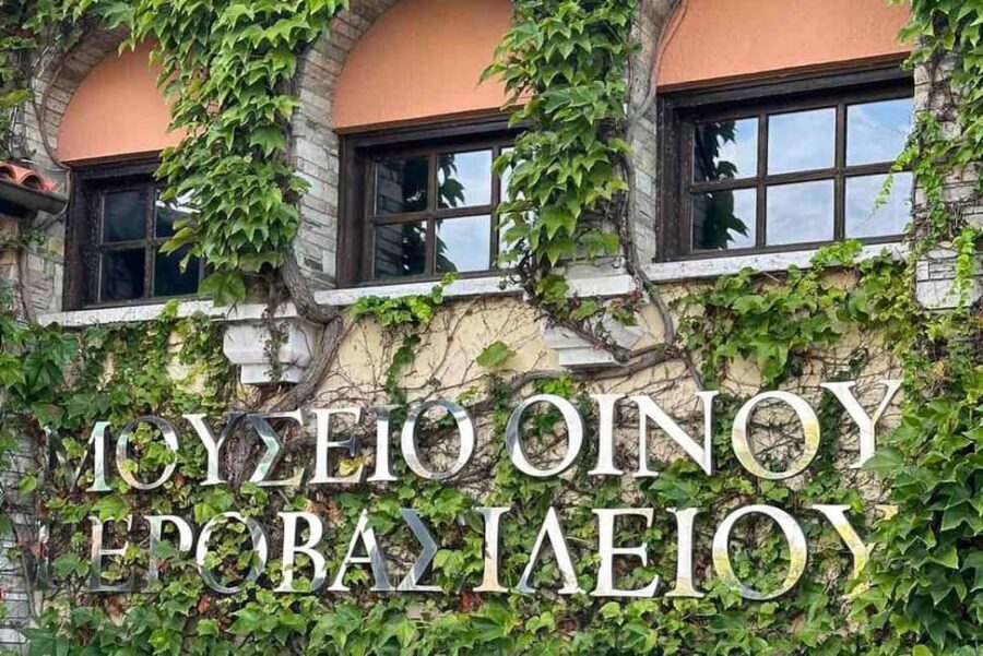 Private Wine & Museum Tour at Gerovassiliou Winery - The Experience: A Deep Dive into Gerovassiliou Winery