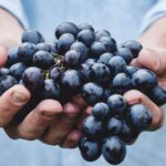 Private Wine Tasting Experience in Athens - Who Will Love This Experience?