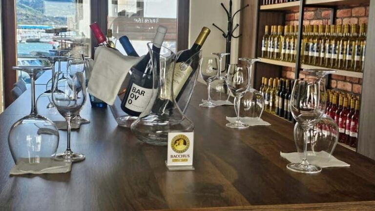 Private Wine Tasting Ohrid - Who Will Love This Tour?