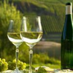 Private Wine Tasting Tour in Munich with a Wine Expert - An In-Depth Look at the Munich Wine Tasting Tour