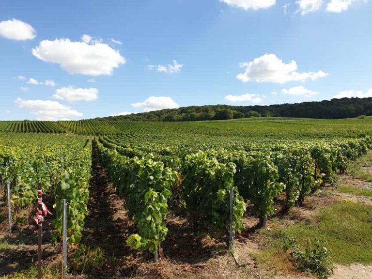 Private wine tour to Bordeaux - 2 days - From Paris - An In-Depth Look at the Bordeaux Private Wine Tour