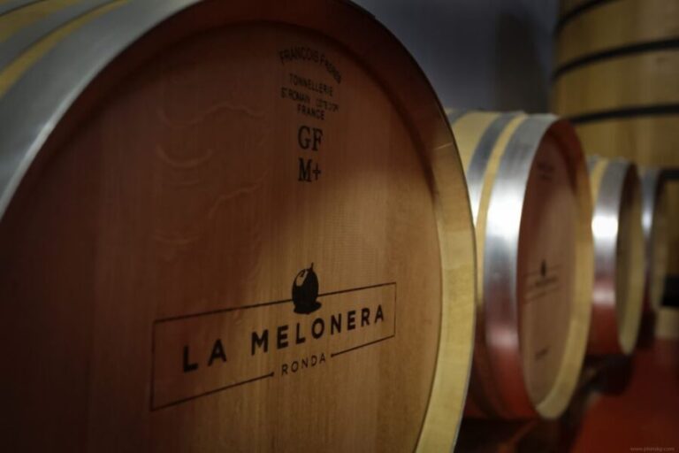 Private Winery Tour and Visit to Ronda - The Experience: What Travelers Say