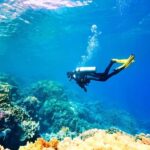 Professional Guided Scuba Diving: Swim with colorful fish. - What Makes This Tour Stand Out?