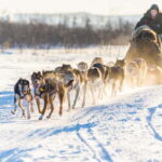 Professional photomemories - Final thoughts