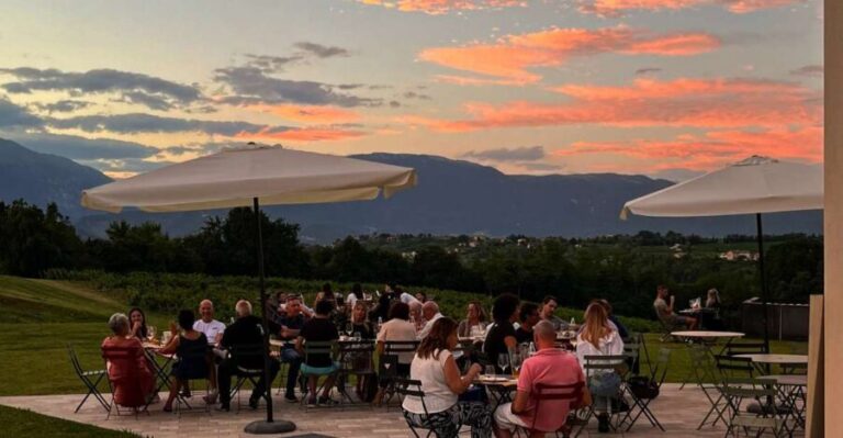 Prosecco Hills: Lovely Tasting Night - Exploring the Prosecco Hills: What You Can Expect