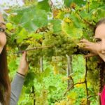 Prosecco Tasting in Countryside Winery - Who Should Book This Experience?