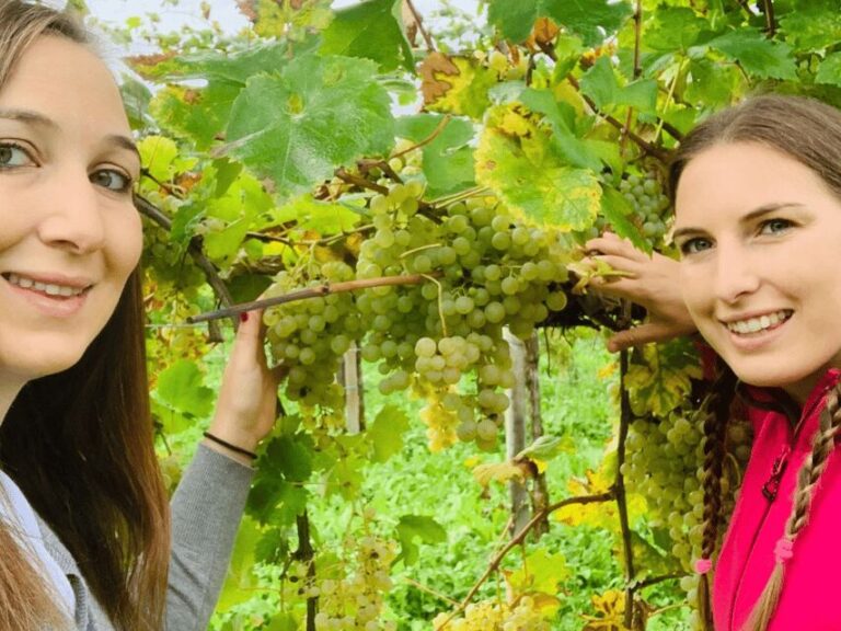 Prosecco Tasting in Countryside Winery - Who Should Book This Experience?