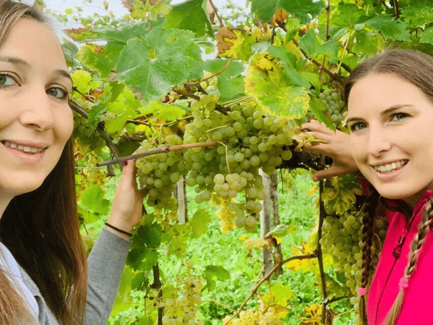 Prosecco Tasting in Countryside Winery - Who Should Book This Experience?