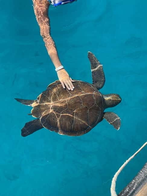 Protaras: Blue Lagoon and Turtles Pirate Cruise - Itinerary Breakdown