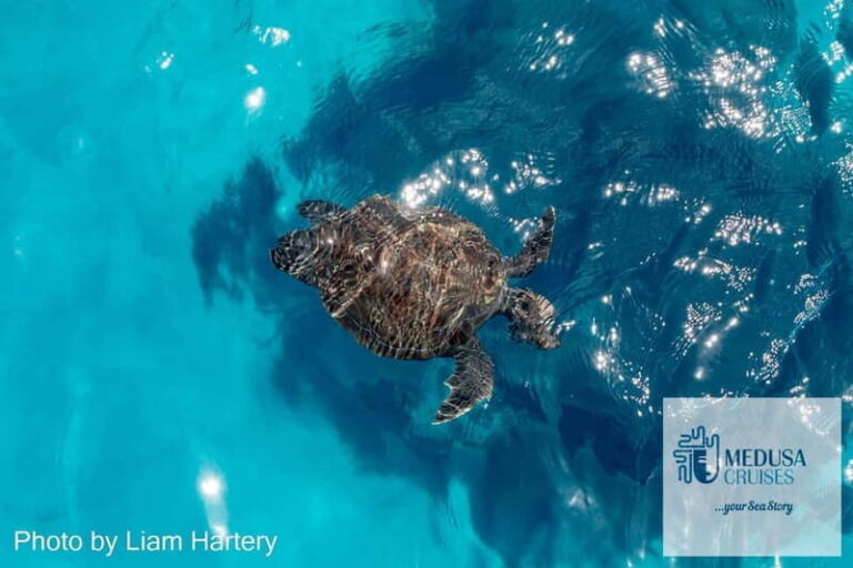 Protaras: Medusa Chill-Out Cruise to Blue Lagoon & Sea Caves - Who Is This Tour Best Suited For?