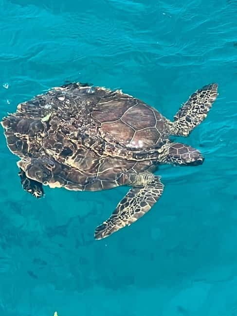 Protaras: Waterworld Turtle Cove Cruise with Swim Stops - Who Would Enjoy This Cruise?