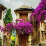 Provence private tour: Aix-en-Provence, (Marseille) & Cassis - Why This Tour Offers Real Value