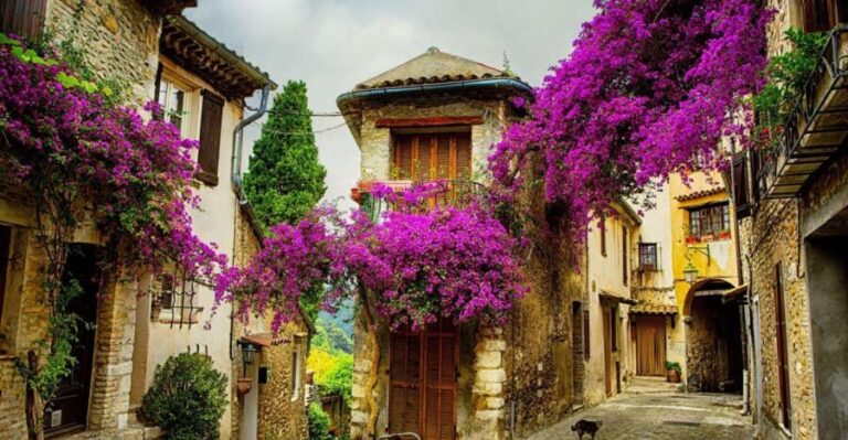 Provence private tour: Aix-en-Provence, (Marseille) & Cassis - Why This Tour Offers Real Value