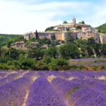 Provence: Valensole Lavender Fields Guided Full-Day Tour - Practical Details and Tips for Making the Most of the Tour
