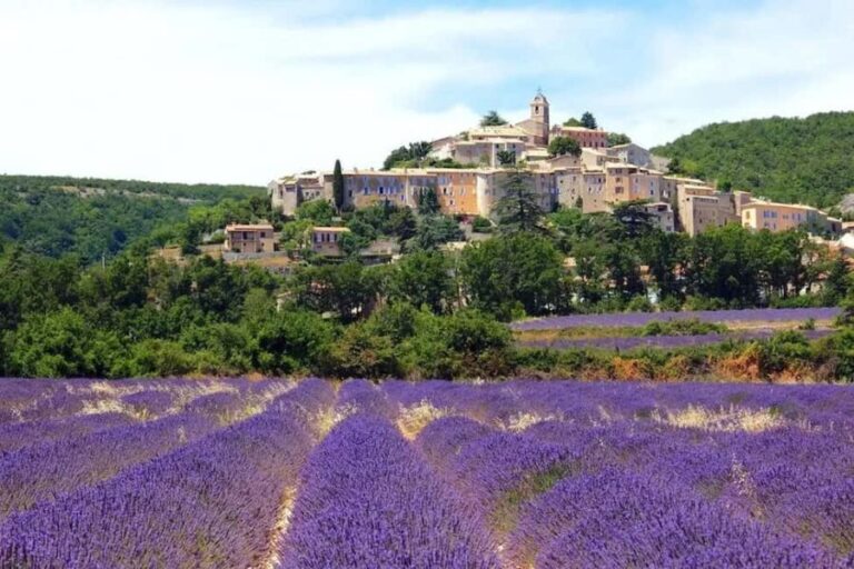 Provence: Valensole Lavender Fields Guided Full-Day Tour - Practical Details and Tips for Making the Most of the Tour