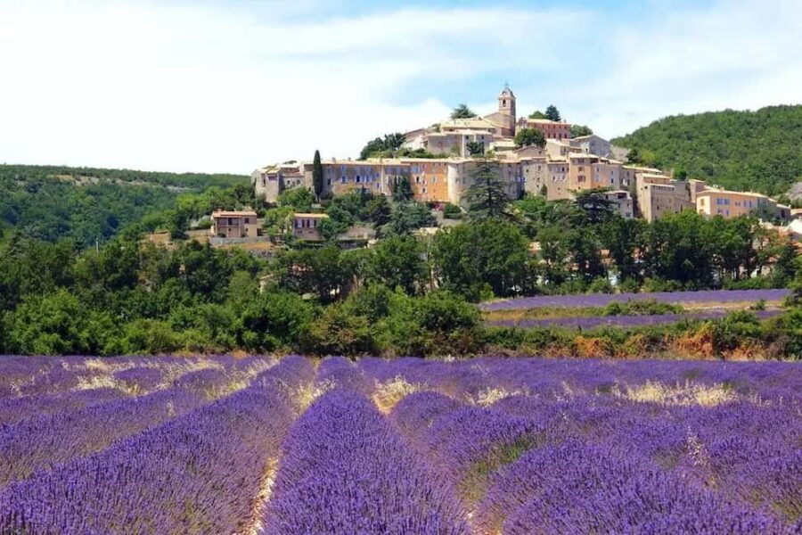 Provence: Valensole Lavender Fields Guided Full-Day Tour - Practical Details and Tips for Making the Most of the Tour