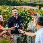 Provence Wine Tour - Private Tour from Nice - What’s Included and What to Consider